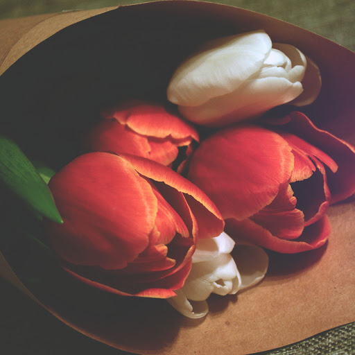 Hd-186282-ascw186282