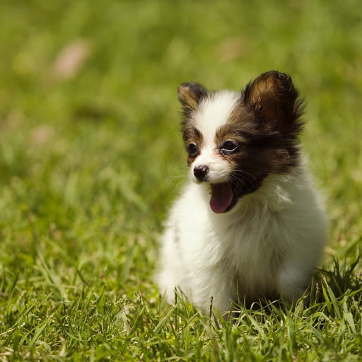 Hd-152546-ascw152546