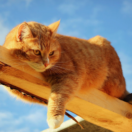 Hd-145255-ascw145255