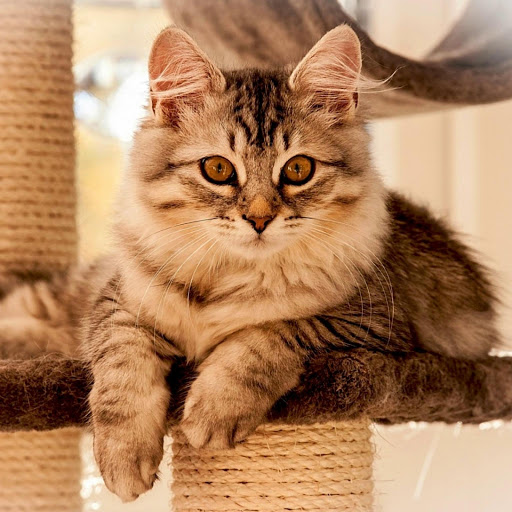 Hd-177534-ascw177534