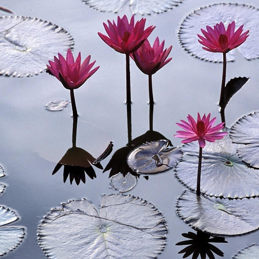 Hd-143631-ascw143631