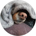 Carvajal 2222 profile picture