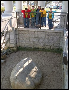 plymouth_rock