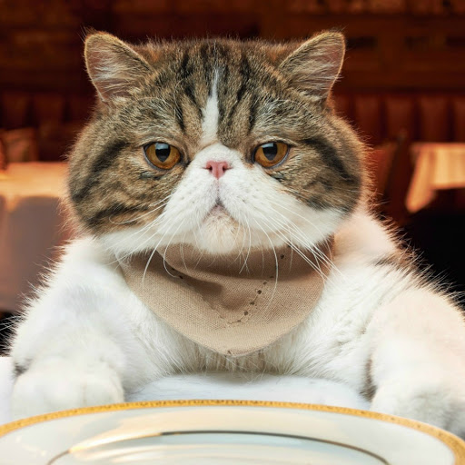 Hd-179990-ascw179990