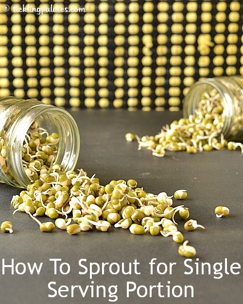 How to sprout for single serving portion