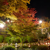 朝護孫子寺,紅葉(PK3_0200,F9,16mm,K3)2014yaotomi_.jpg