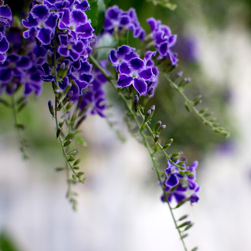 Hd-164728-ascw164728