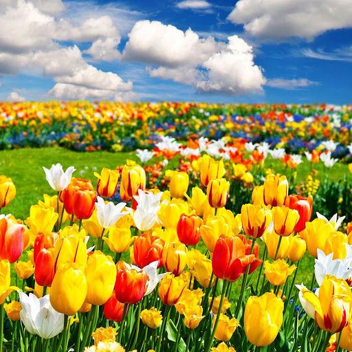 Hd-142722-ascw142722