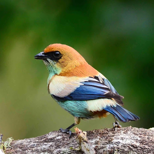 Hd-178536-ascw178536