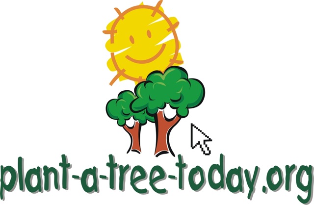 [tree%255B5%255D.jpg]