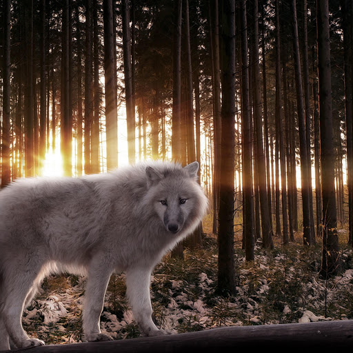 Hd-173296-ascw173296