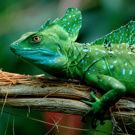 Hd-143089-ascw143089