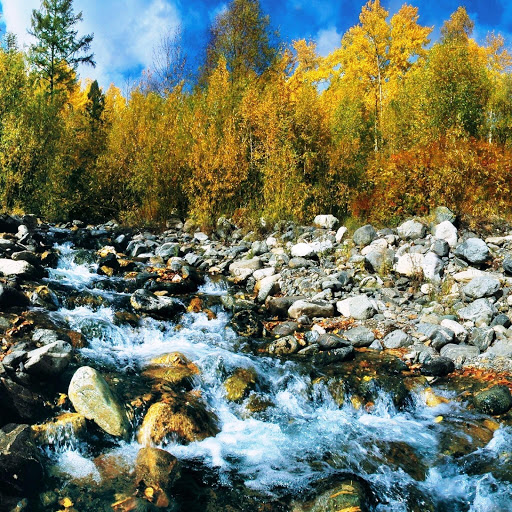 Hd-149106-ascw149106