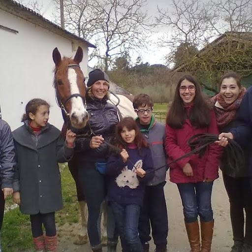 Hipoterapia para as Necessidades Educativas Especiais: Sete magníficos
a cavalo