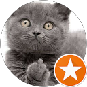 Photo de profil de Bimbamboum
