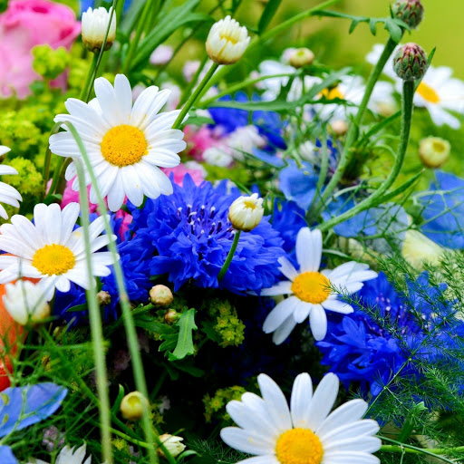 Hd-172426-ascw172426