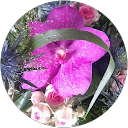 Image Google de laetitia