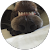 Nugsy Bear Nugsy Bear
