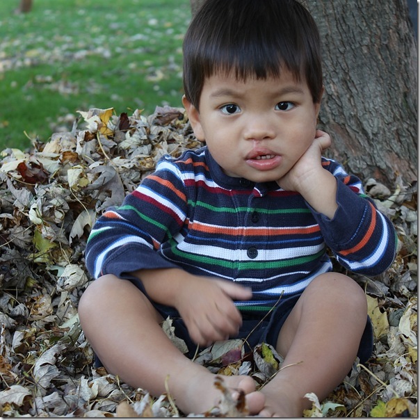 "mom, I don't like touching these leaves"