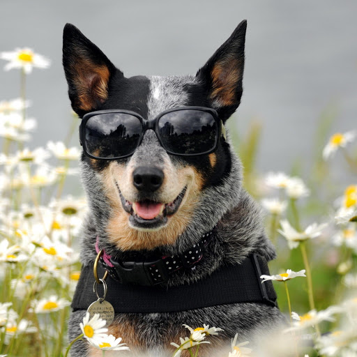 Hd-160517-ascw160517