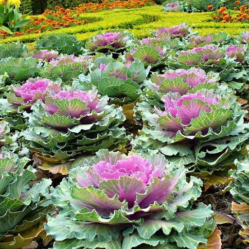 Hd-148243-ascw148243