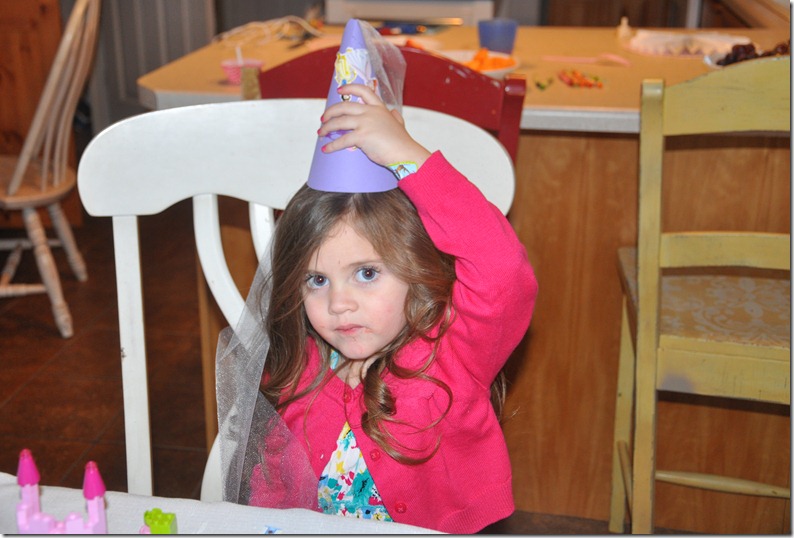 Poppy Seed Projects: Ellie’s Princess Birthday Party!!