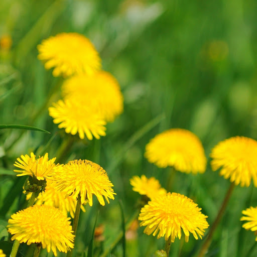 Hd-146052-ascw146052