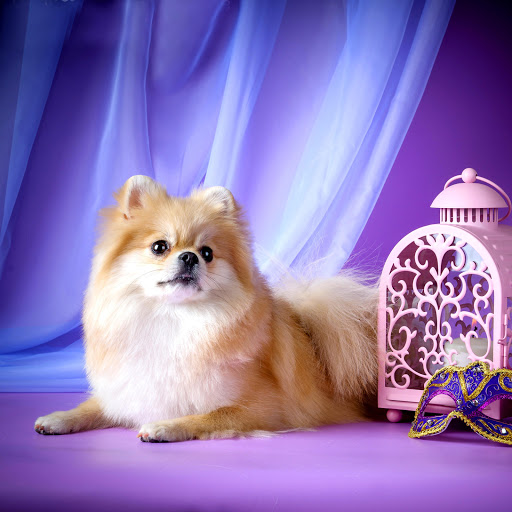 Hd-141545-ascw141545