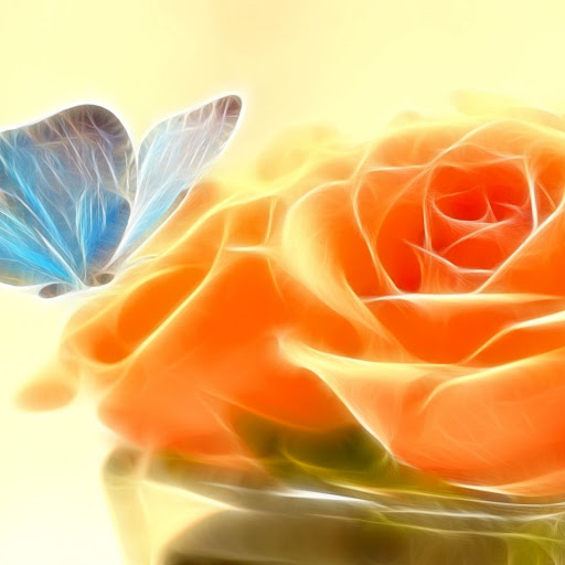 Hd-148020-ascw148020