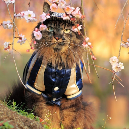 Hd-170424-ascw170424