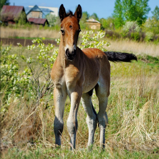 Hd-132172-ascw132172