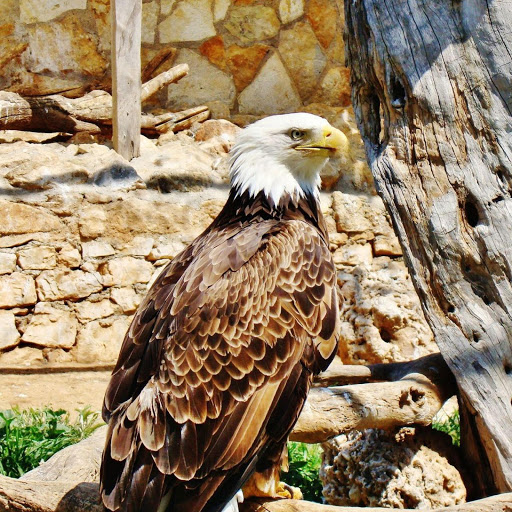 Hd-178926-ascw178926