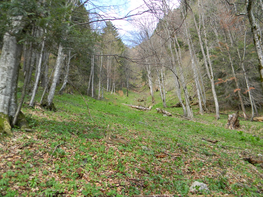 [DSCN75643.jpg]