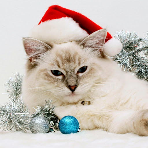 Hd-170923-ascw170923