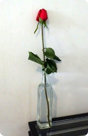 Una rosa roja en un florero sencillo una botella cristalina calma
