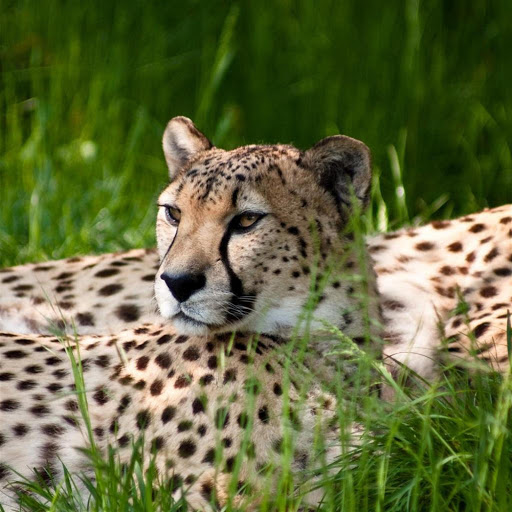 Hd-173943-ascw173943