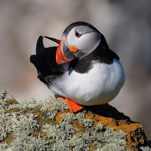 Hd-132724-ascw132724