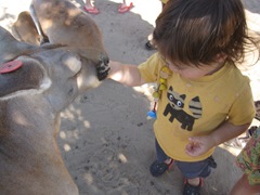 IMG_8720 IMG_8720