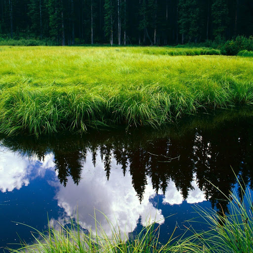 Hd-142357-ascw142357