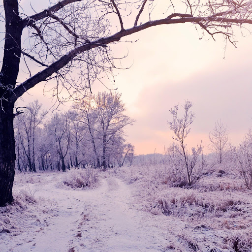 Hd-162973-ascw162973