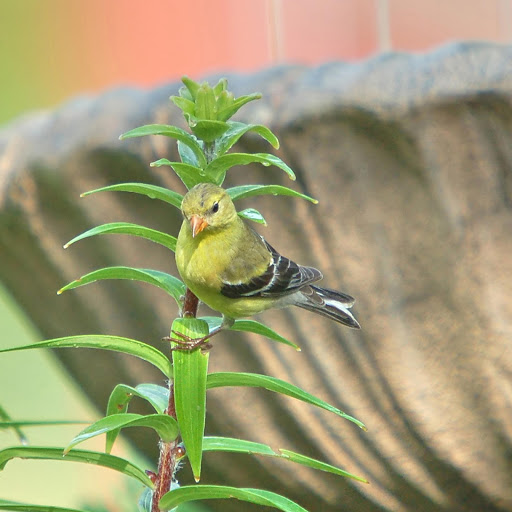 Hd-181299-ascw181299