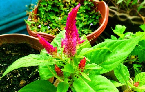 [clip_image009%255B3%255D.jpg]