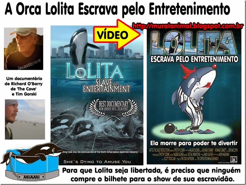 orca_lolita