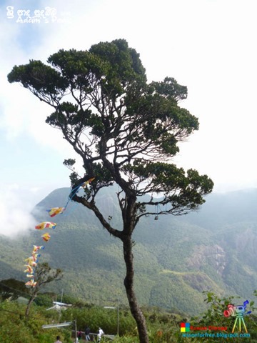Adams-Peak-2014-by-Ruwan-Dileepa--le%25255B173%25255D.jpg