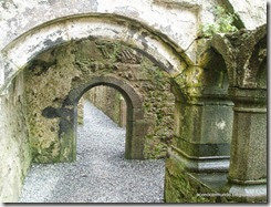 Connemara. Headford. Ruinas del convento Ross Errilly - P5081030