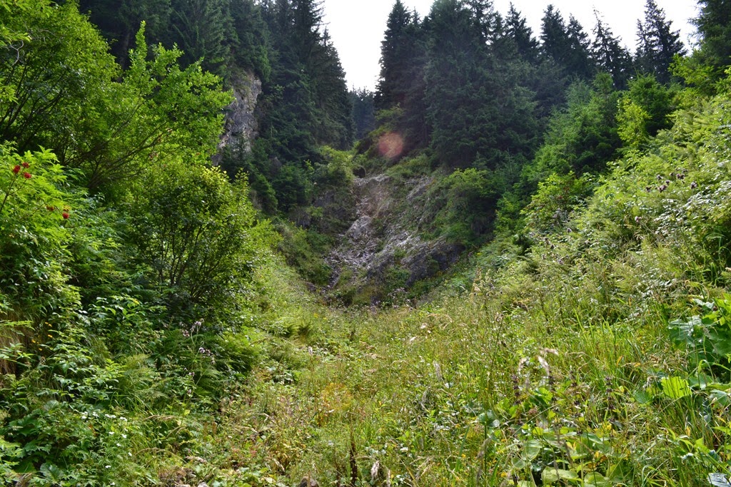 [DSC_34113.jpg]