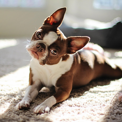 Hd-166349-ascw166349