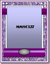 MMSC127 FANCY (1)