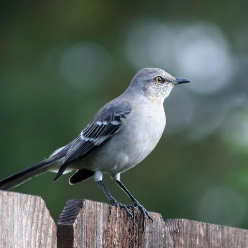 Hd-178721-ascw178721