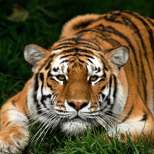 Hd-137646-ascw137646